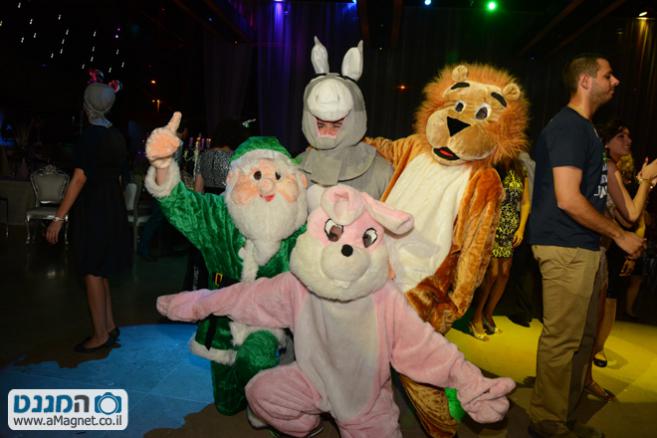 תמונה גדולה